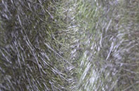 Shirdley Hill fibreglass roof work